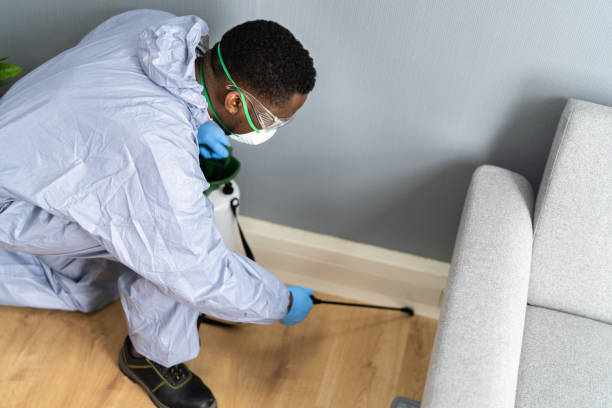 Best Bed Bug Extermination  in Wolcottville, IN